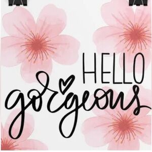 Pink Floral 'Hello Gorgeous' Wall Art